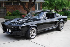 Parked Black Gt500e Mustang Hd Wallpaper