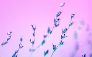 Pastel Flora Artistry Wallpaper