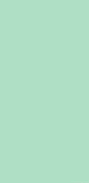 Pastel Green Color Iphone Wallpaper