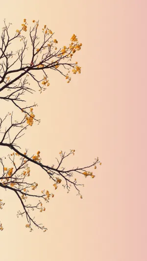 Pastel Iphone Orange Flowers Wallpaper