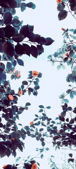 Pastel Orange Aesthetic Flowers Wallpaper