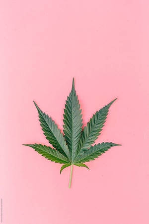 Pastel Pink Background Weed Aesthetic Wallpaper