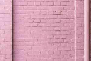 Pastel Pink Brick Wall Wallpaper