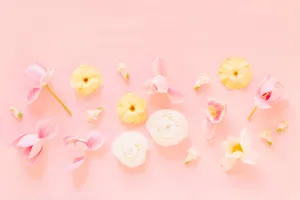 Pastel Pink Flower Flat Lay Wallpaper