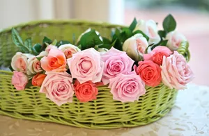 Pastel Rosesin Green Basket Wallpaper