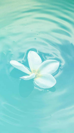 Pastel Teal Floating Flower Wallpaper