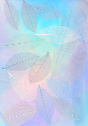 Pastel Vintage Colored Skeleton Leaves Wallpaper