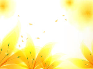 Pastel Yellow Flower Border Design Wallpaper