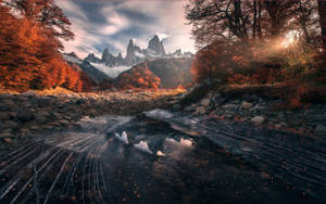 Patagonia Inside Autumn Forest Wallpaper