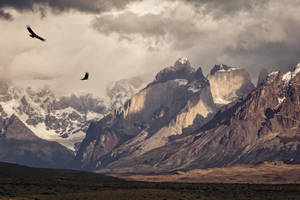 Patagonia Soaring Eagles Wallpaper