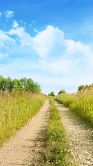 Path In The Field Wallpaper