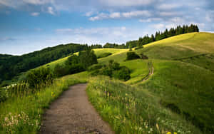 Path On A Hill Wallpaper