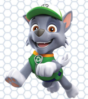 Paw Patrol Rocky Wallpaper