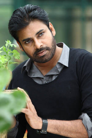Pawan Kalyan With Plant Wallpaper