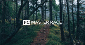 Pc Master Race Forest Landscape Wallpaper