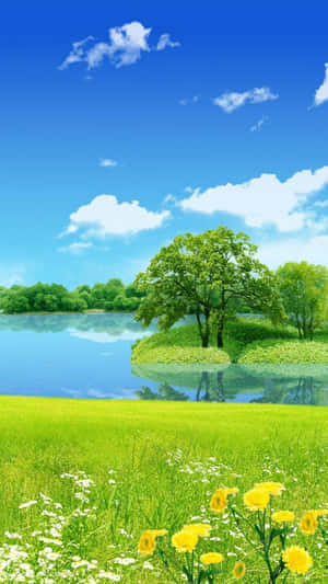Peaceful Meadow Nature Android Hd Wallpaper