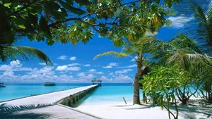 Peaceful Ocean View At Ocean Beach Wallpaper