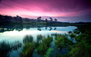 Peaceful Pink Clouds Over The River Wallpaper