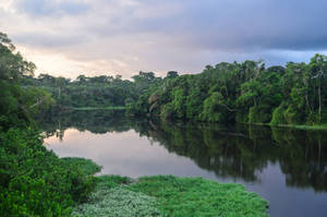 Peaceful River In Gabon Wallpaper