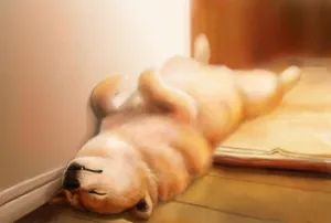 Pembroke Corgi Dog Art Wallpaper