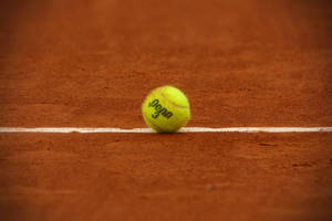 Penn Tennis Ball Wallpaper