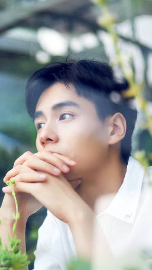 Pensive Chinese Actor Hu Yitian. Wallpaper