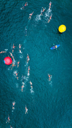 People Swimming In Summer Iphone Wallpaper