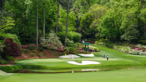 People Walking In Augusta National Iphone Wallpaper