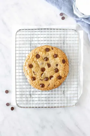 Perfect Chocolate Chip Cookieon Cooling Rack Wallpaper
