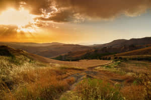 Perfect Day Of Beautiful Sunshine Wallpaper