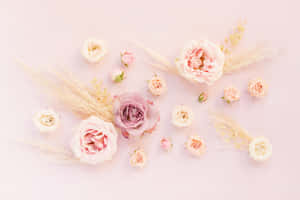 Perfect Desktop Wallpaper For A Beautiful Spring Day! Wallpaper