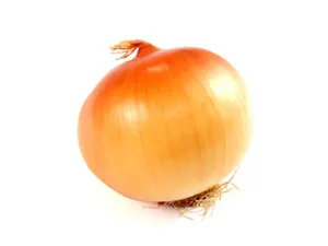 Perfect Onion Yellow Orange Peel Wallpaper