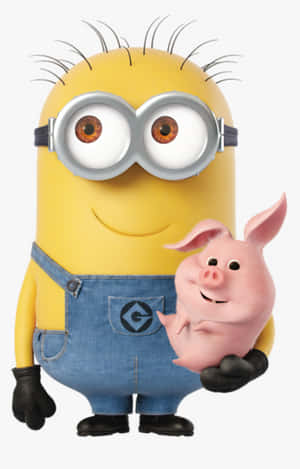 Pet Pig Minion Pfp Wallpaper