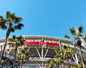 Petco Park Mlb Stadium Wallpaper