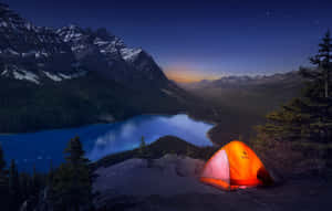 Peyto Lake Tent Wallpaper
