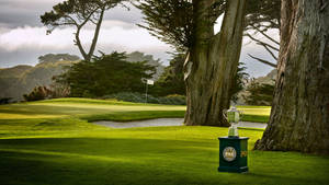 Pga Trophy Harding Park Wallpaper