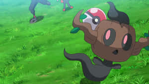 Phantump Running From Pokeball Wallpaper