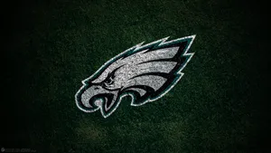 Philadelphia Eagles Football, Ready To Take Flight Wallpaper