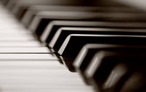 Piano Black Keys Close-up Monochrome Wallpaper