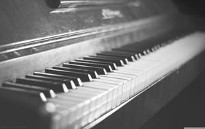 Piano Grayscale Hd Vintage Wallpaper