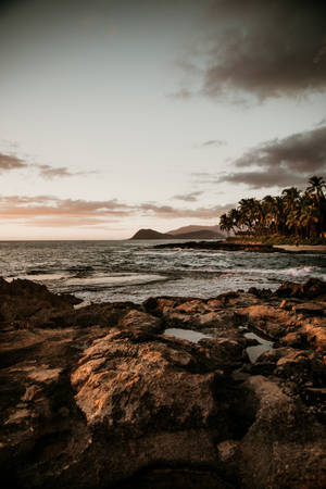 Picture-perfect Beach Landscape Wallpaper