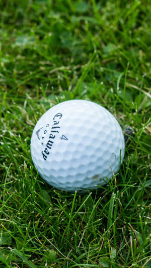 Piece Of White Ball Golf Iphone Wallpaper