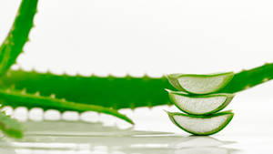 Pile Of Fresh Aloe Vera Wallpaper