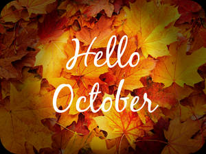 Pile Of Orange Leaves Hello October Wallpaper