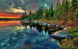 Pine Forest Lake Google Desktop Wallpaper