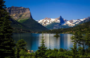 Pine Tree Lake Montana Wallpaper