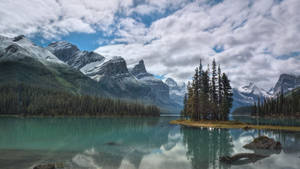 Pine Trees Islet In Peaceful Lake Wallpaper