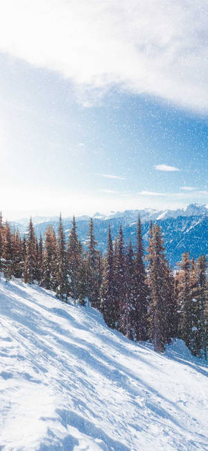 Pine Trees On Mountain Winter Iphone Wallpaper