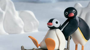 Pingu Playing With Pinga Wallpaper