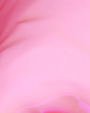 Pink Abstract Background With A Pink Flower Wallpaper